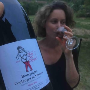 Bourgogne Coulanges la Vineuse "Grôle Tête"