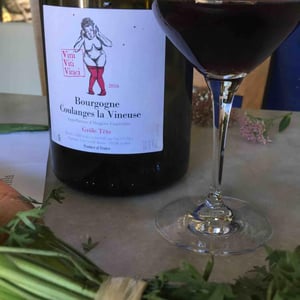 Bourgogne Coulanges la Vineuse "Grôle Tête" - Vini Viti Vinci - Nicolas Vauthier "Kikro" 