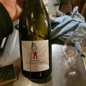 Bourgogne Coulanges la Vineuse "Grôle Tête" - Vini Viti Vinci - Nicolas Vauthier "Kikro" 