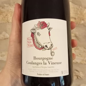Bourgogne Coulanges la Vineuse "Grôle Tête" - Vini Viti Vinci - Nicolas Vauthier "Kikro" 