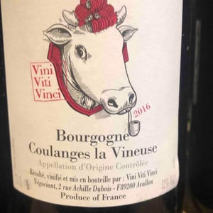 Vini Viti Vinci - Nicolas Vauthier "Kikro" - Bourgogne Coulanges La Vineuse