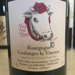 Vini Viti Vinci 16