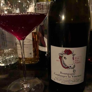 Bourgogne Coulanges La Vineuse - Vini Viti Vinci - Nicolas Vauthier "Kikro" 