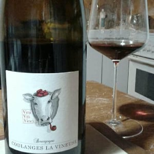 Vini Viti Vinci - Nicolas Vauthier "Kikro" - Bourgogne Coulanges La Vineuse