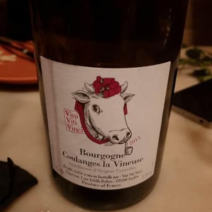 Bourgogne Coulanges La Vineuse - Vini Viti Vinci - Nicolas Vauthier "Kikro" 