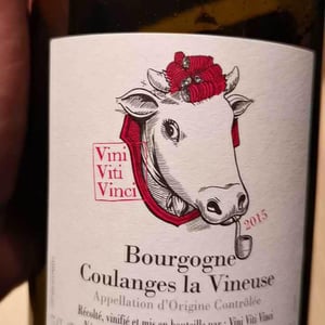 Vini Viti Vinci - Nicolas Vauthier "Kikro" - Bourgogne Coulanges La Vineuse