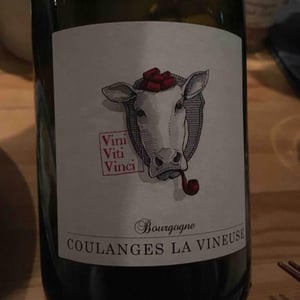 Vini Viti Vinci - Nicolas Vauthier "Kikro" - Bourgogne Coulanges La Vineuse
