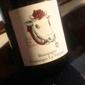 Vini Viti Vinci - Nicolas Vauthier "Kikro" - Bourgogne Coulanges La Vineuse