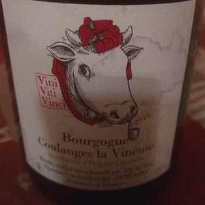 Bourgogne Coulanges La Vineuse 2016
