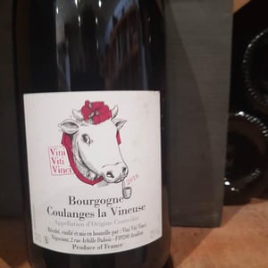 Bourgogne Coulanges La Vineuse - Vini Viti Vinci - nicolas-vauthier-kikro