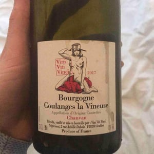 Vini Viti Vinci - Nicolas Vauthier "Kikro" - Bourgogne Coulanges La Vineuse