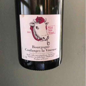 Bourgogne Coulanges La Vineuse - Vini Viti Vinci - nicolas-vauthier-kikro