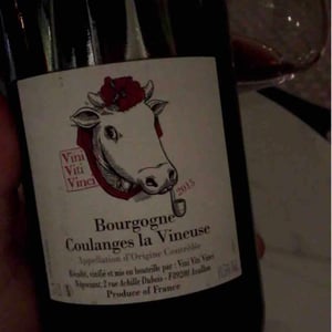 Bourgogne Coulanges La Vineuse - Vini Viti Vinci - nicolas-vauthier-kikro
