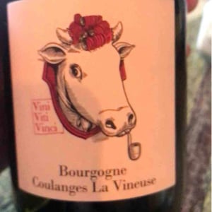 Bourgogne Coulanges La Vineuse