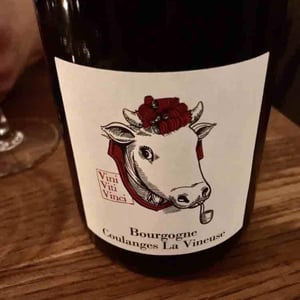 Bourgogne Coulanges La Vineuse - Vini Viti Vinci - nicolas-vauthier-kikro