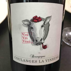 Bourgogne Coulanges La Vineuse - Vini Viti Vinci - nicolas-vauthier-kikro