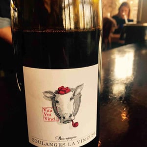 Bourgogne - Vini Viti Vinci - Nicolas Vauthier "Kikro"
