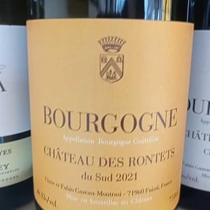 Bourgogne du sud - Château des Rontets - Claire & Fabio Gazeau-Montrasi 