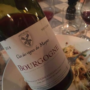 Bourgogne - Clos des Vignes du Maynes - Julien Guillot 