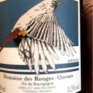 Bourgogne Envol - Domaine des Rouges-Queues - Isabelle & Jean-Yves Vantey 