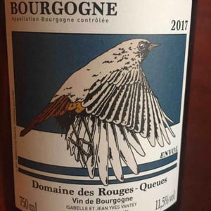 Bourgogne Envol - Domaine des Rouges-Queues - Isabelle & Jean-Yves Vantey 