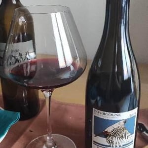 Bourgogne Envol - Domaine des Rouges-Queues - Isabelle & Jean-Yves Vantey 