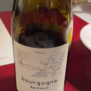 Bourgogne Epineuil "Vals Noir" - Vini Viti Vinci - nicolas-vauthier-kikro