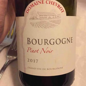 Bourgogne - Domaine Chevrot - vincent-pablo-chevrot