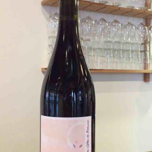Bourgogne Hautes-Côtes de Beaune - La Chaume des Lies - margaux-rivaux-lothar-galloo