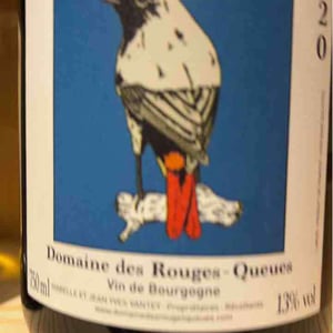 Bourgogne Hautes-Côtes de Beaune (Rouge) - Domaine des Rouges-Queues - isabelle-jean-yves-vantey