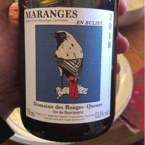 Domaine des Rouges-Queues - Isabelle & Jean-Yves Vantey - Bourgogne Hautes-Côtes de Beaune (Rouge)