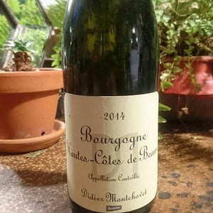 Bourgogne Hautes-Côtes De Nuits - Domaine Montchovet - didier-montchovet