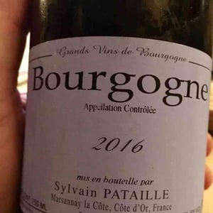 Bourgogne - Sylvain Pataille - sylvain-pataille