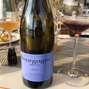 Bourgogne 2017 - Sylvain Pataille - Sylvain Pataille