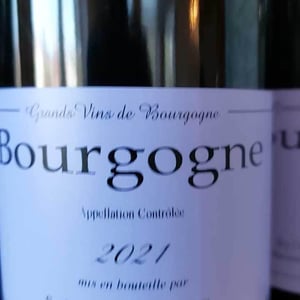 Bourgogne - Sylvain Pataille - sylvain-pataille