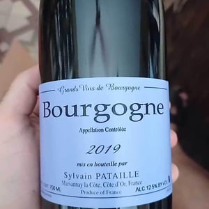 Bourgogne - Sylvain Pataille - sylvain-pataille