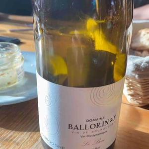 Le Bon - Domaine Ballorin - Gilles Ballorin 