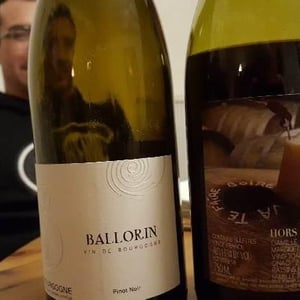 Le Bon - Domaine Ballorin - Gilles Ballorin 