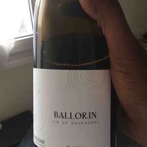 Le Bon - Domaine Ballorin - Gilles Ballorin 
