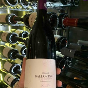 Le Bon - Domaine Ballorin - Gilles Ballorin 