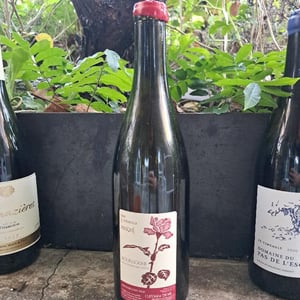 Bourgogne (Le Vendangeur Masqué) - Alice & Olivier De Moor - Alice & Olivier De Moor -2020