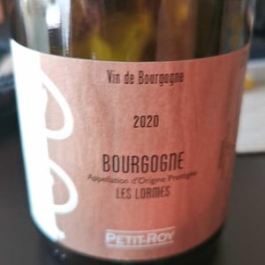 Bourgogne "Les Lormes" - Domaine Petit-Roy - Seiichi Saito 