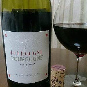 Bourgogne "Les Riaux" - Rouge - Domaine Renaud Boyer - renaud-boyer