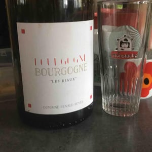 Bourgogne "Les Riaux" - Rouge - Domaine Renaud Boyer - Renaud Boyer 