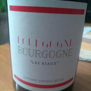 Domaine Renaud Boyer - Renaud Boyer - Bourgogne "Les Riaux" - Rouge