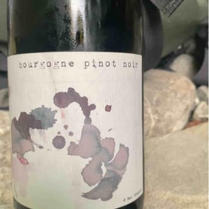 Bourgogne - Sas Sain&soif - Benoît Kilian & Marc Soyard 
