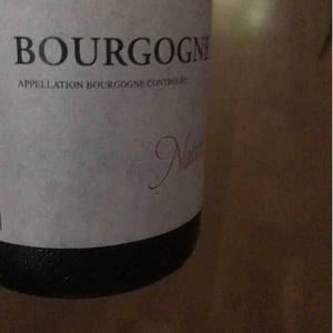 Bourgogne Nature - Domaine Jean-Claude Rateau - amel-nouar-et-jean-claude-rateau