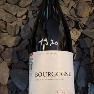Bourgogne Nature - Domaine Jean-Claude Rateau - amel-nouar-et-jean-claude-rateau