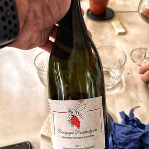 Bourgogne passetoutgrain - Domaine Nicolas Raspiller - Nicolas Raspiller 