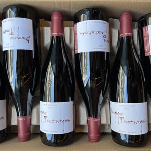 Bourgogne Passetoutgrain - Sarnin-Berrux - jean-pascal-sarnin-jean-marie-berrux